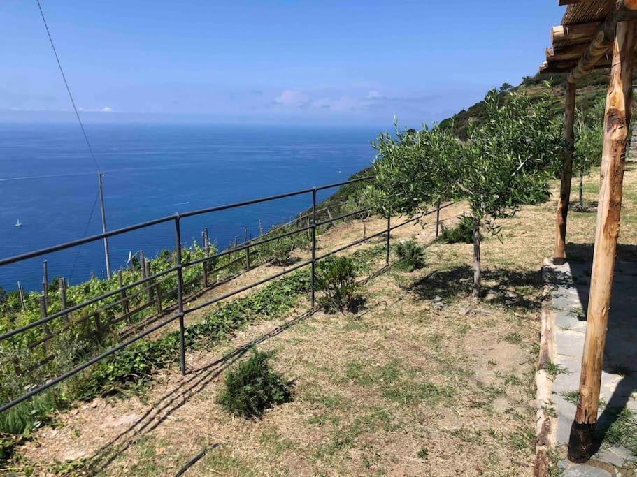 Orangehouse Cinque Terre. Private Parking Villa ริโอมัจโจเร ภายนอก รูปภาพ